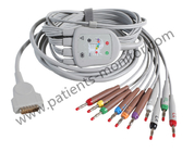 GE EKG Makine Parçaları 10 Kurşun Kablo LDWR IEC 2104726-001 Tıbbi Cihaz