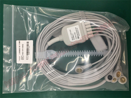 GE Hasta Monitörü EKG 5 Kurşun 11 Pin Kablo AHA 110051025 EU586S-A Monitör Parçaları EKG Parçaları