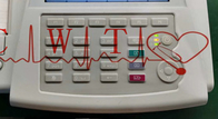 12.5mm / S GE Mac 800 Hastane Hayati İşaretler EKG Yedek Parçalar 4 inç LCD